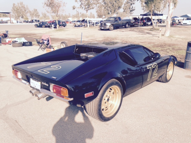 MadDogatButtonWillow