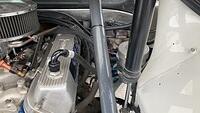 IMG 5916