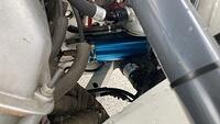 IMG 5918