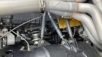 IMG 5942
