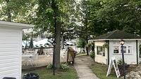 IMG 5988