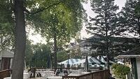 IMG 5989