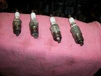 Spark Plugs